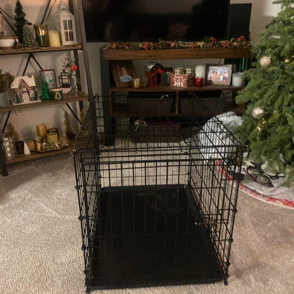 Kennel